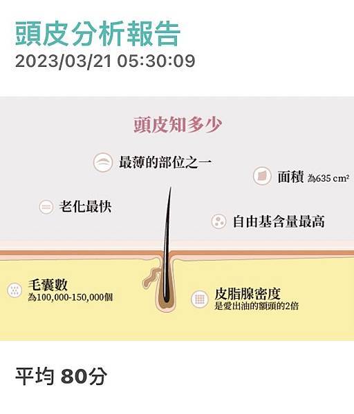 S__149348375.jpg